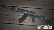 PUBG NEW AKM Skin